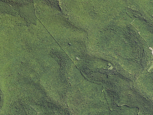 Aerial image of Elk State Forest roadside campsite 035 Dark Hollow (Dark Hollow Equestrian)