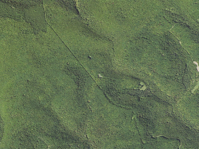 Aerial image of Elk State Forest roadside campsite 036 Dark Hollow (Dark Hollow Equestrian)