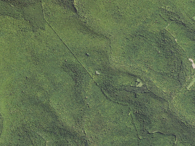 Aerial image of Elk State Forest roadside campsite 037 Dark Hollow (Dark Hollow Equestrian)