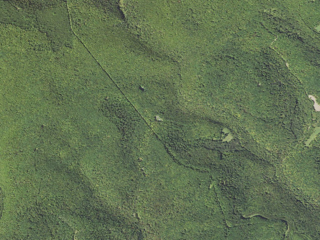 Aerial image of Elk State Forest roadside campsite 039 Dark Hollow (Dark Hollow Equestrian)