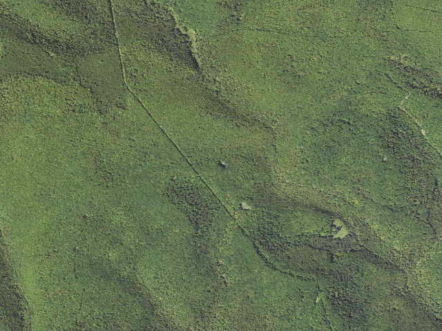 Aerial image of Elk State Forest roadside campsite 040 Gaswell (Gaswell Equestrian)