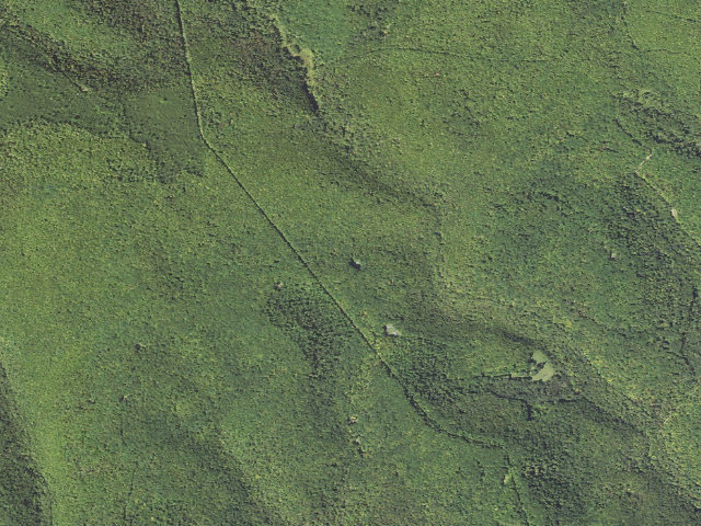 Aerial image of Elk State Forest roadside campsite 041 Gaswell (Gaswell Equestrian)