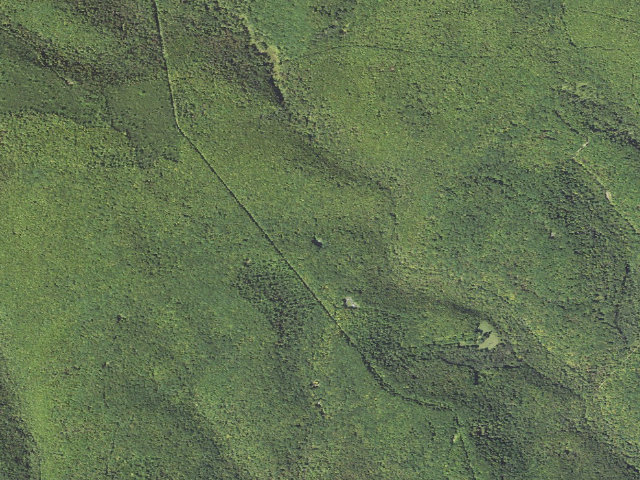 Aerial image of Elk State Forest roadside campsite 043 Gaswell (Gaswell Equestrian)