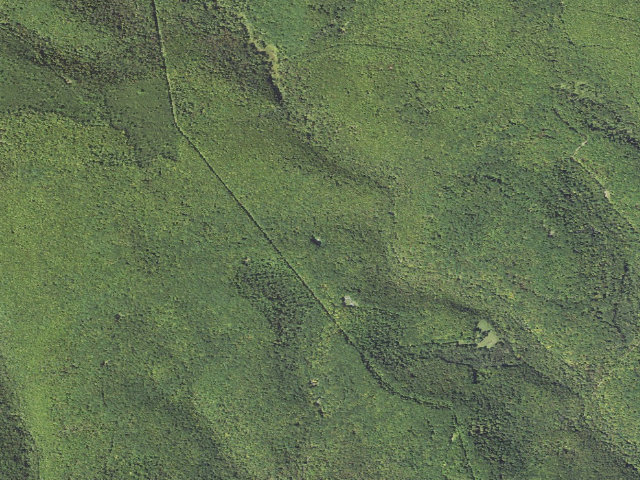 Aerial image of Elk State Forest roadside campsite 044 Gaswell (Gaswell Equestrian)