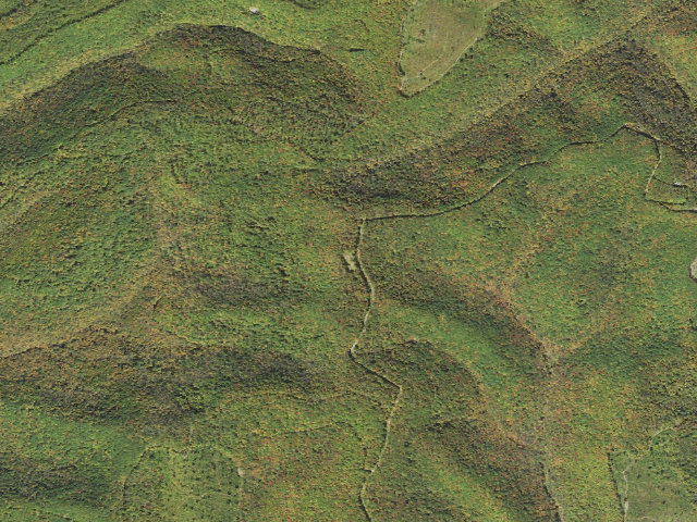 Aerial image of Elk State Forest roadside campsite 050 Tangle Snake (Ridge Road)