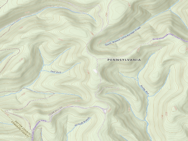 USGS topographic map of Elk State Forest roadside campsite 050 Tangle Snake (Ridge Road)