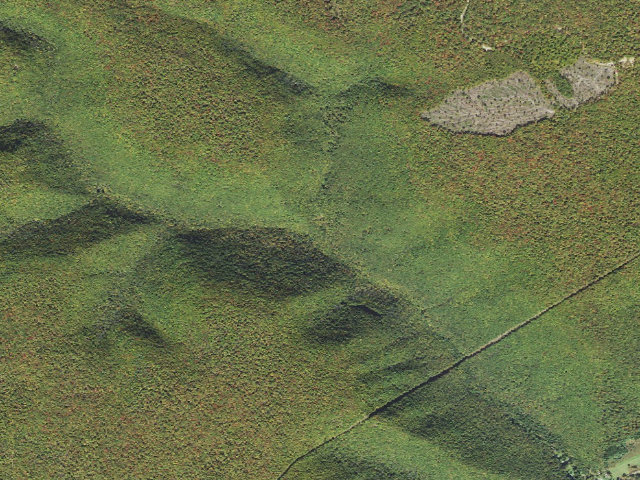 Aerial image of Elk State Forest roadside campsite 051 Gravelly (Ridge Road)