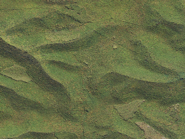 Aerial image of Elk State Forest roadside campsite 053 Whitehead View (Ridge Road)