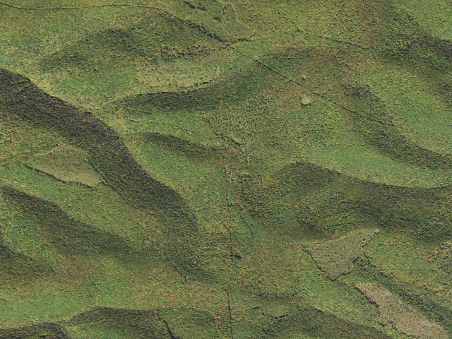 Aerial image of Elk State Forest roadside campsite 054 Whitehead Hideout (Ridge Road)