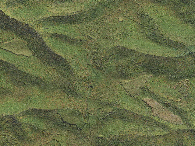 Aerial image of Elk State Forest roadside campsite 055 Whitehead Pavilion (Ridge Road)