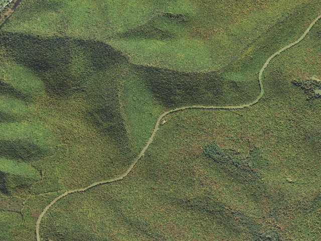 Aerial image of Elk State Forest roadside campsite 060 Bronson (Montour Road)