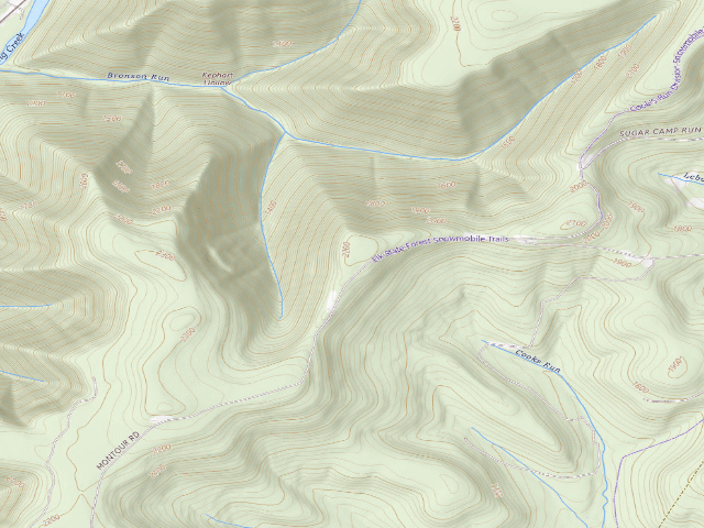 USGS topographic map of Elk State Forest roadside campsite 060 Bronson (Montour Road)