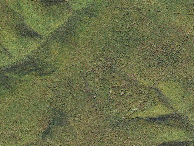 Aerial image of Elk State Forest roadside campsite 061 Bubbling Springs (Montour Road)