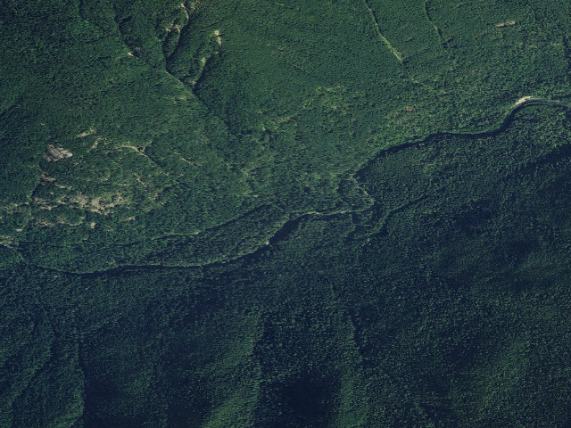Aerial image of Elkhorn