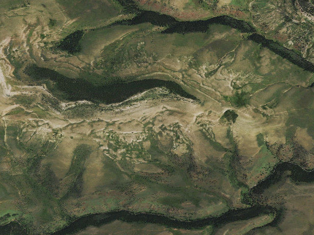 Aerial image of Ellis WHMA — Ellis South