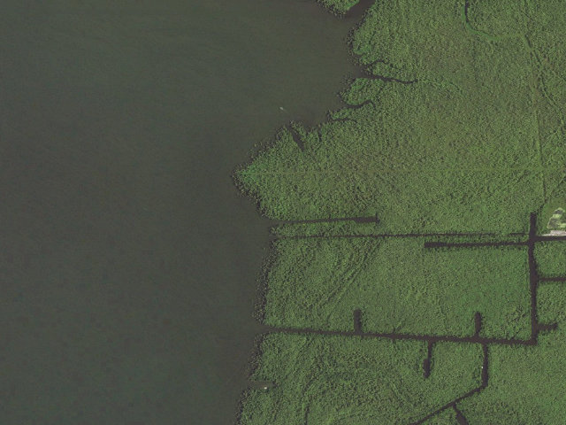Aerial image of Elm Hall WMA primitive camping area 1