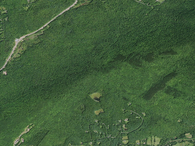 Aerial image of Elm Ridge Primitive Tent Site 1 [DEC #16143] (Windham Blackhead Range Wilderness)