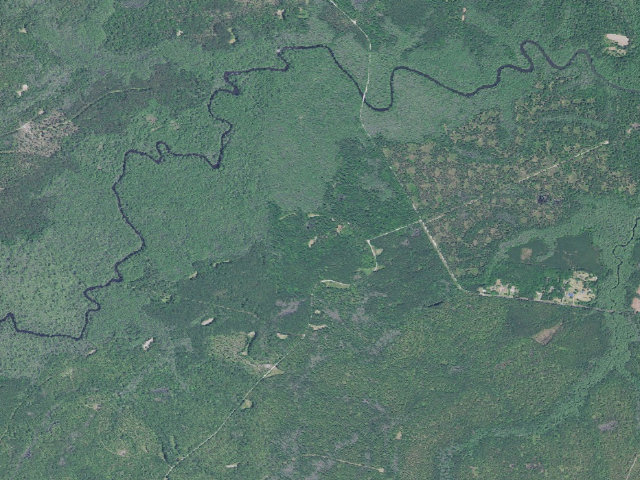 Aerial image of Elmwood Campground