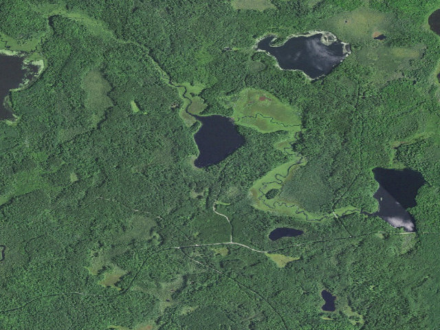 Aerial image of Emily Lake