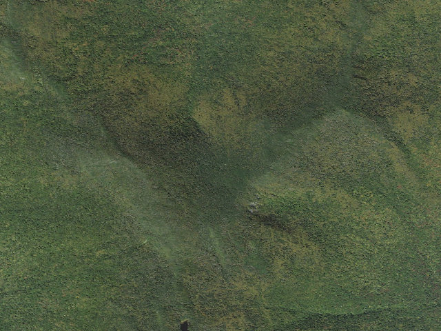 Aerial image of Emily Proctor Shelter & Tent Area