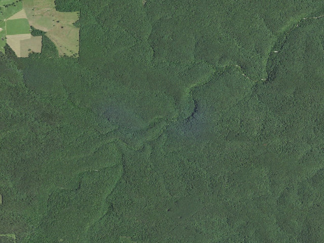 Aerial image of Established Primitive Campsite