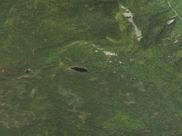 Aerial image of Ethan Pond Shelter