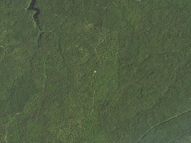 Aerial image of Evangeline Camp