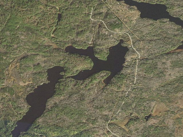 Aerial image of Everett Lake Site 1