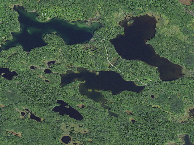 Aerial image of Ewing Point Camping Area