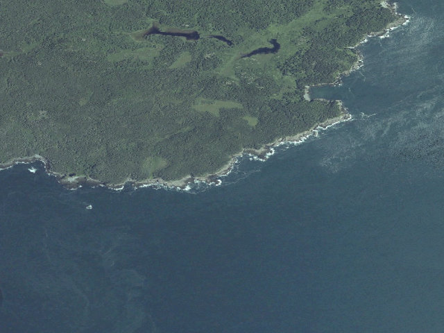 Aerial image of Fairy Head 1 (Cutler Coast Public Land)