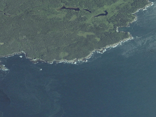 Aerial image of Fairy Head 2 (Cutler Coast Public Land)
