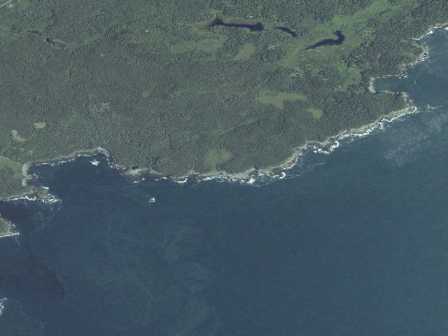 Aerial image of Fairy Head 3 (Cutler Coast Public Land)