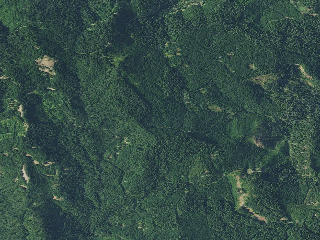 Aerial image of Fairy Shelter