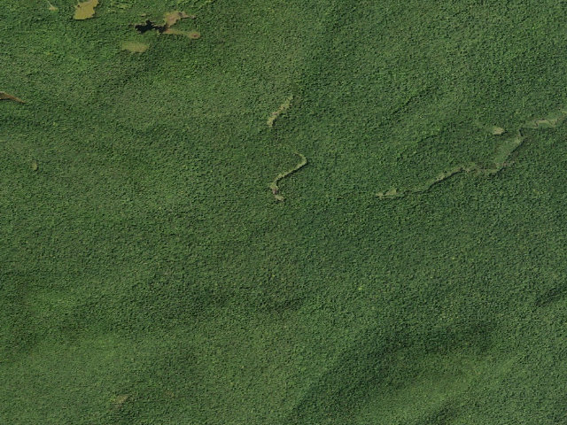 Aerial image of Fall Stream Tentsites (Jessup River Wild Forest)