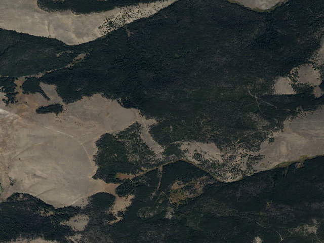 Aerial image of Fallen Trees