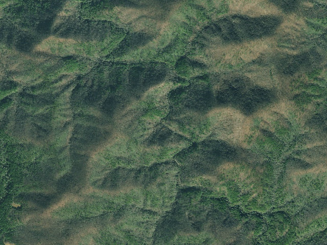 Aerial image of Fannin County