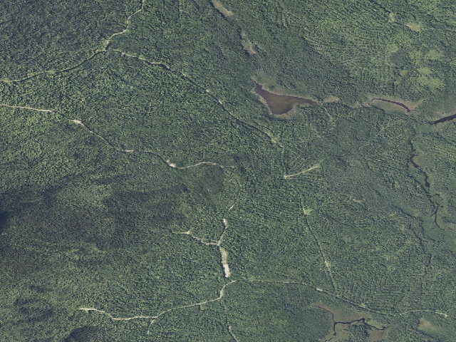Aerial image of Farrar Nubble (Nahmakanta Public Land)