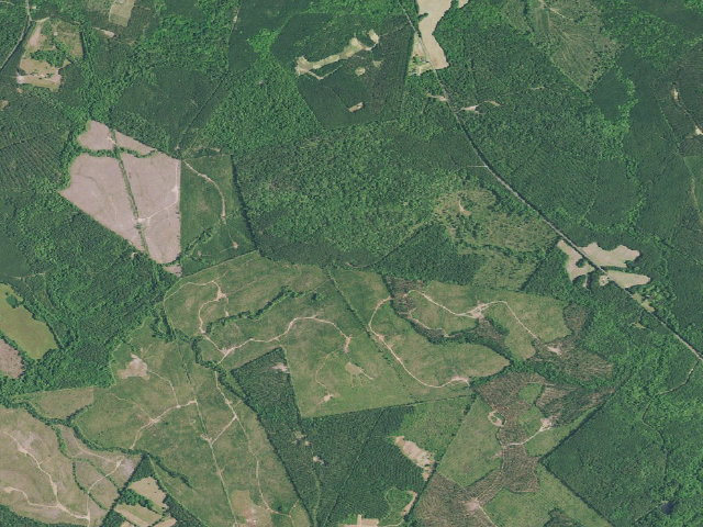 Aerial image of Faulkner Mountain Campground