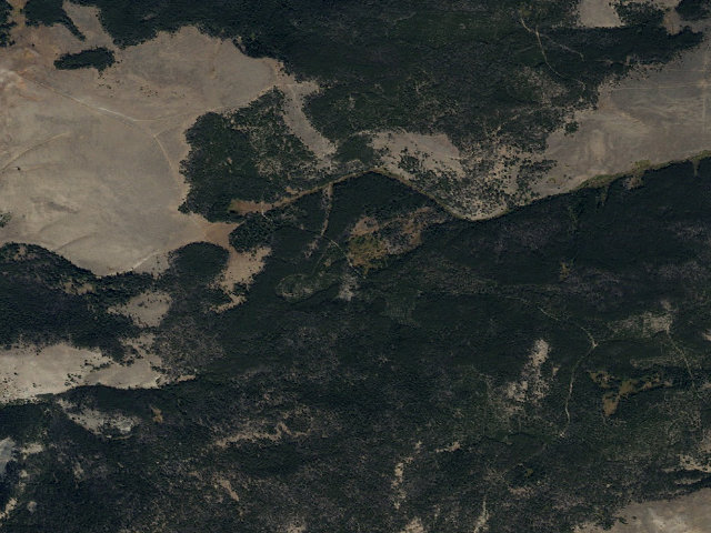 Aerial image of Feild Young Dead