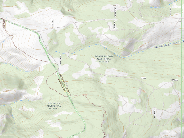 USGS topographic map of Feild Young Dead
