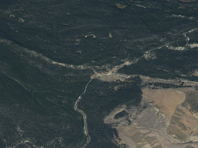 Aerial image of Feller Buncher