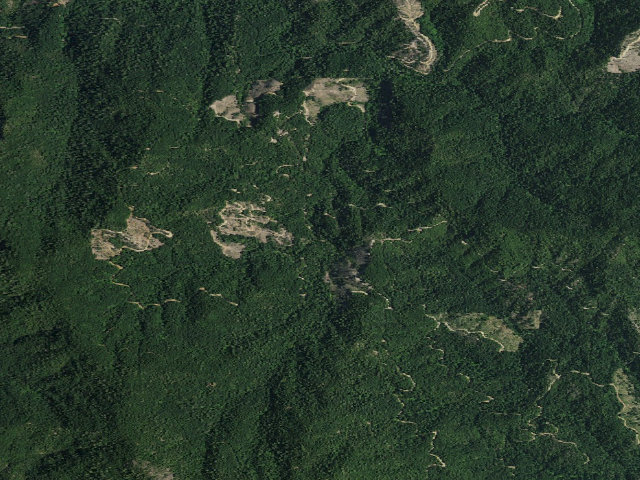 Aerial image of Fenders Ferry