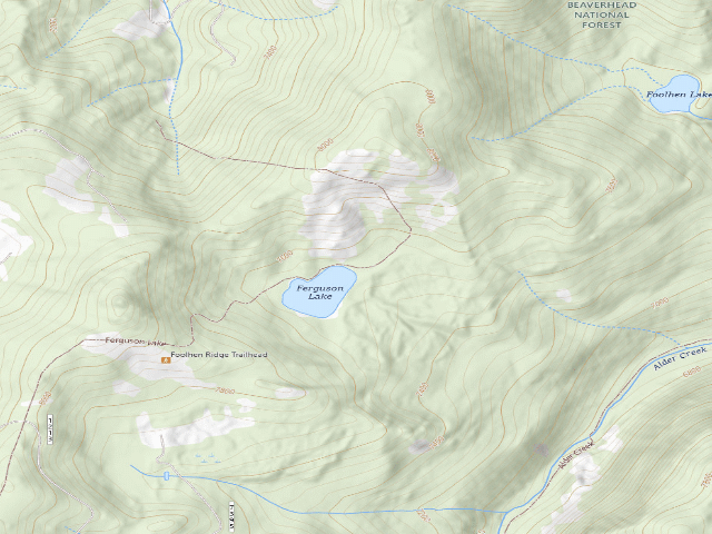 USGS topographic map of Ferguson-1