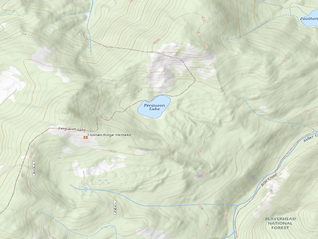 USGS topographic map of Ferguson-2
