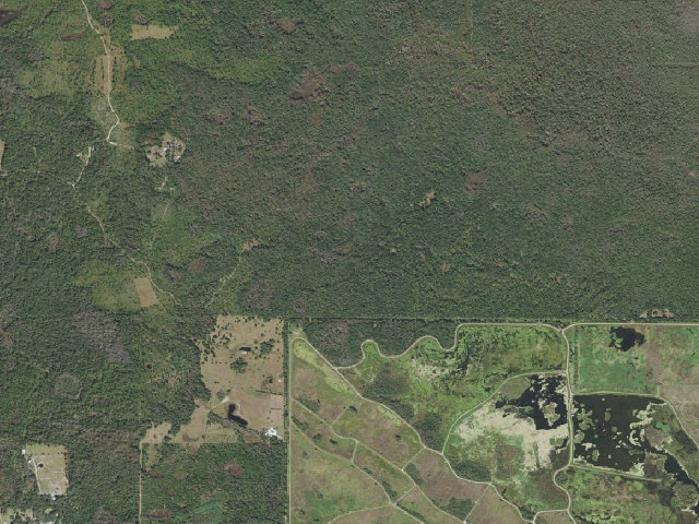 Aerial image of Fern Camp