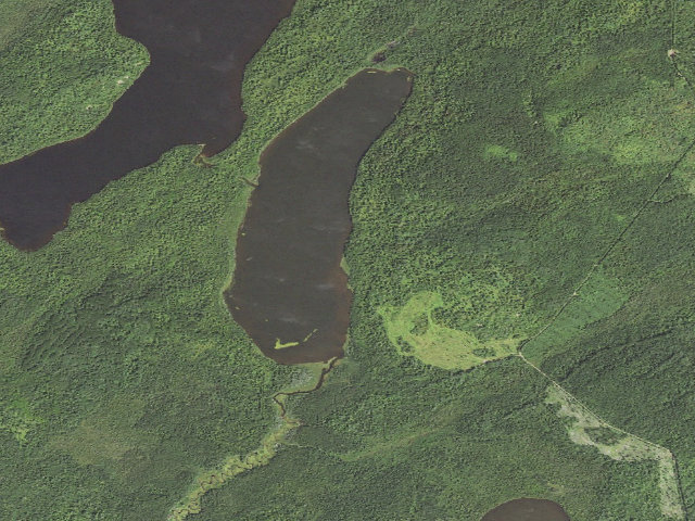 Aerial image of Finger Lake Site 1