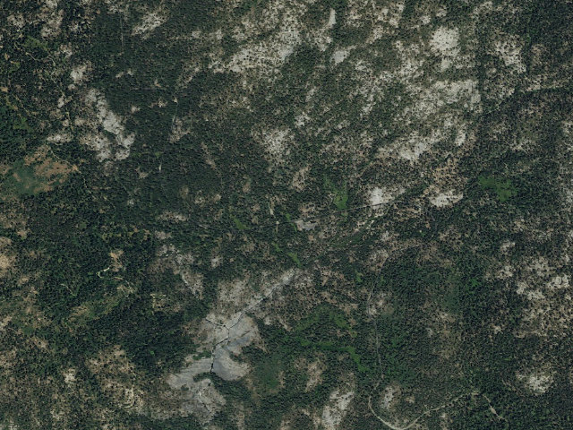 Aerial image of Fir Group Campground