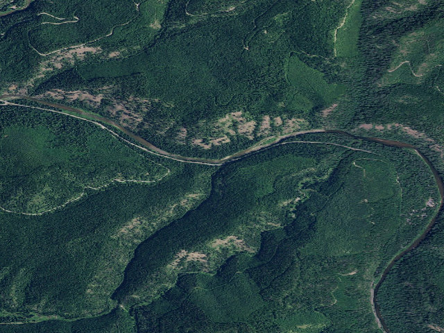 Aerial image of Fire Prev. Disp. Site #170