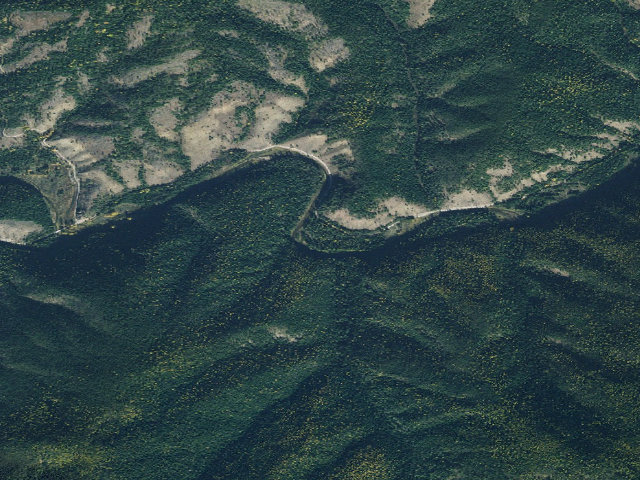 Aerial image of Fire Prev. Disp. Site #194D