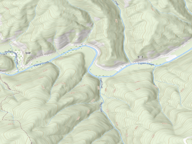 USGS topographic map of Fire Prev. Disp. Site #194D
